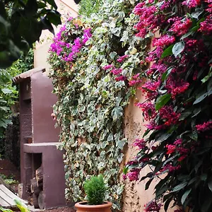 Casa Luly La Orotava