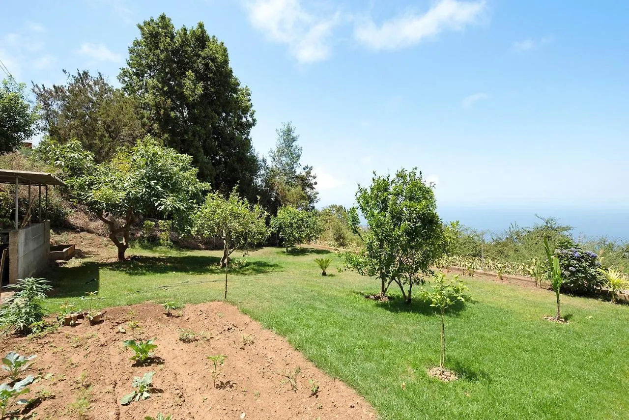 Guest house House Vochozka Hotel La Orotava Spain